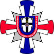 Logo der Stadtsoldaten Meckenheim